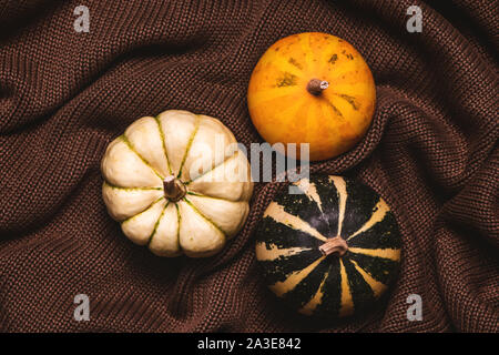 Vista superiore della decoative zucche sul marrone felpa lavorata a maglia. Concetto di autunno. Foto Stock
