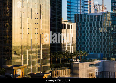 Paesaggio urbano denso di nuovo sviluppo urbano nel centro di Los Angeles al di sopra di una fila di alberi di palma Foto Stock