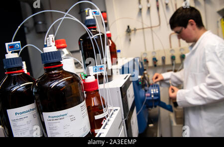 Monaco di Baviera, Germania. Xx Settembre, 2019. Un dipendente di laboratorio nel laboratorio del governo bavarese di polizia criminale (LKA) esamina un campione con un cromatografo. Credito: Sven Hoppe/dpa/Alamy Live News Foto Stock