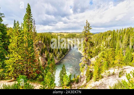 Yellowstone Fiume che scorre verso nord attraverso il Parco Nazionale di Yellowstone, di alimentazione e di scarico del Lago Yellowstone, poi cada sopra la parte superiore e inferiore di Y Foto Stock