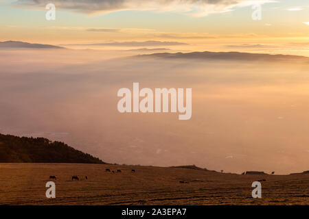 Alcuni cavalli sagome sulla sommità del Monte Subasio, sopra un mare di nebbia riempie la vallata umbra al tramonto Foto Stock