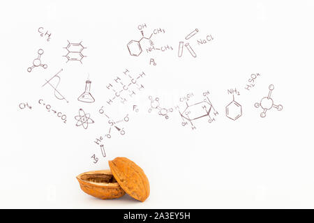 Concetto di frase chimica in un nutshell. Formule chimiche e simboli disegnati su carta bianca con le noci Foto Stock