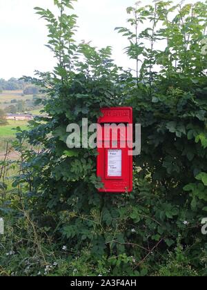 Un rosso casella postale (ancora in uso) si trova nel mezzo di una siepe in una posizione rurale vicino al borgo di Snitterton nr Matlock Derbyshire Regno Unito Foto Stock