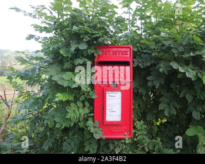 Un rosso casella postale (ancora in uso) si trova nel mezzo di una siepe in una posizione rurale vicino al borgo di Snitterton nr Matlock Derbyshire Regno Unito Foto Stock