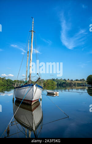Barca ormeggiata in cove vicino Dittisham, Devon, Regno Unito Foto Stock