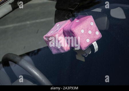 Guardando attraverso il parabrezza di una macchina parcheggiata in corrispondenza di una coppia di rosa dice peloso hangin nella finestra . Foto Stock