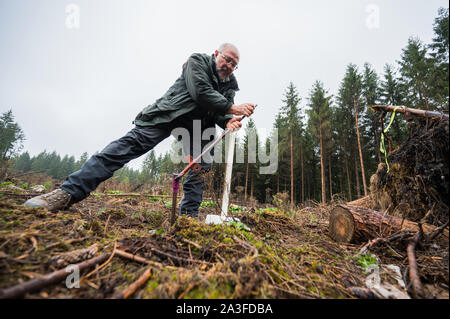 Bad Sobernheim, Germania. 07 ott 2019. Il dott. Jürgen Gauer, Istituto di ricerca per la foresta di ecologia e selvicoltura, effettua la foresta di mappatura del suolo per il rimboschimento sostenibile. Lo spazio aperto è stato creato dalla rottura del vento. Durante una escursione, Ministero dell'ambiente della Renania Palatinato ha spiegato lo sviluppo della foresta di fronte al cambiamento climatico. Credito: Andreas Arnold/dpa/Alamy Live News Foto Stock