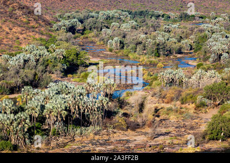 Vista sul fiume Kunene e palme, Kaokoland, Namibia, Africa Foto Stock