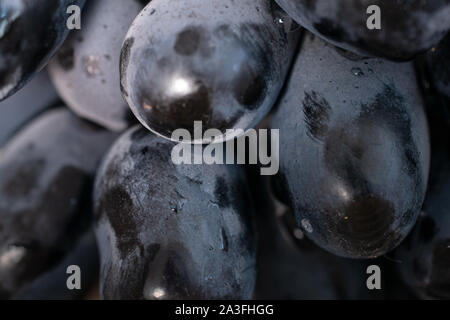 Sacco di intere fresche uva nera macro isolato Foto Stock