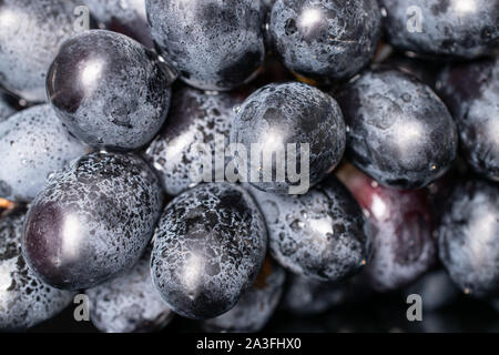 Sacco di intere fresche uva nera closeup isolato Foto Stock