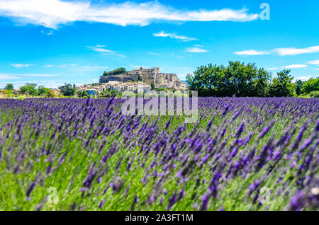 Campi di Lavanda presso il village Gordes, una piccola cittadina medievale in Provenza, meta di viaggio in Francia. Foto Stock