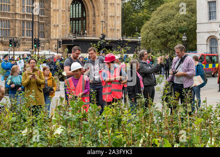 Londra REGNO UNITO 8 ott. 2019 estinzione della ribellione tree "piantagione " protesta al di fuori del Palazzo di Westminster Credit Ian DavidsonAlamy Live News Foto Stock