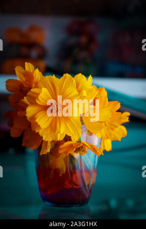 Giallo decorativo Ulam raja in vaso vetro Foto Stock