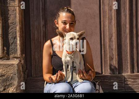 Ragazza seduta con chihuahua 2 Foto Stock