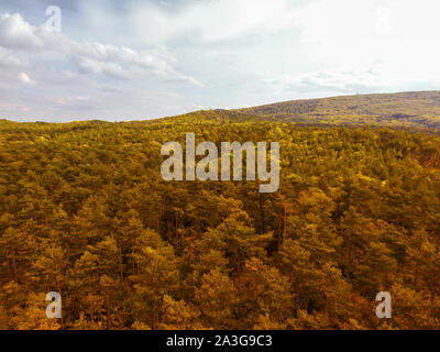 Veduta aerea della Anninger hill e la foresta di Mödling nella Bassa Austria. Autunno e escursionismo concetto. Foto Stock