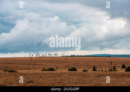 Panorama delle Hautes Fagnes in autunno, Belgio. Foto Stock