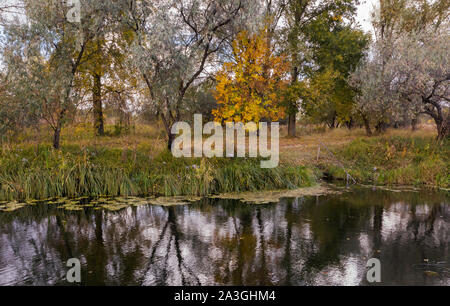 Un paesaggio autunnale con un fiume in una giornata nuvolosa Foto Stock