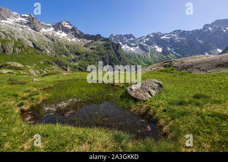 Francia, Hautes Alpes, parco nazionale degli Ecrins, valle del Valgaudemar, La Chapelle en Valgaudemar, il circo glaciale di Gioberney Foto Stock