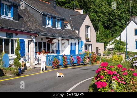 Francia, Finisterre, Moelan Sur Mer, Belon Harbour Foto Stock