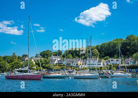 Francia, Finisterre, Moelan Sur Mer, Belon porto sul fiume Belon visto da vu depuis Riec sur Belon Foto Stock