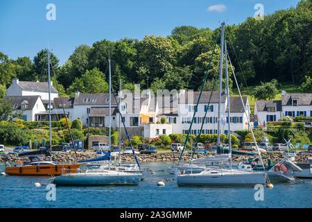 Francia, Finisterre, Moelan Sur Mer, Belon porto sul fiume Belon visto da vu depuis Riec sur Belon Foto Stock