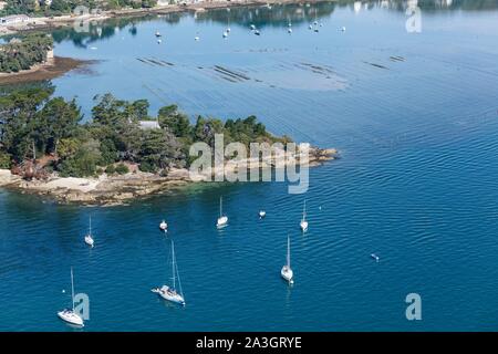 Francia, Morbihan, il Golfo di Morbihan, Berder isola (vista aerea) Foto Stock