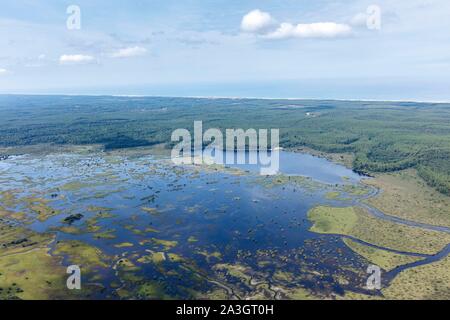 Francia, Gironde, Lacanau, Cousseau pond riserva naturale (vista aerea) Foto Stock