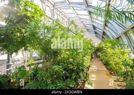 Francia, Parigi, Auteuil, un campo da tennis circondato da serre tropicali Foto Stock