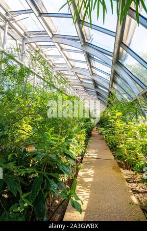 Francia, Parigi, Auteuil, un campo da tennis circondato da serre tropicali Foto Stock