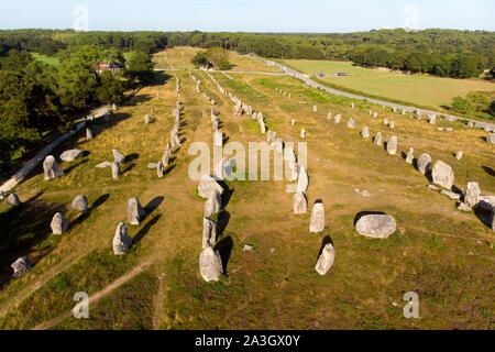 Francia, Morbihan, Carnac, fila di megalitico pietre permanente presso Kermario (vista aerea) Foto Stock