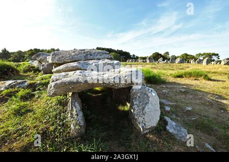 Francia, Morbihan, Carnac, fila di megalitico pietre permanente presso Kermario Foto Stock