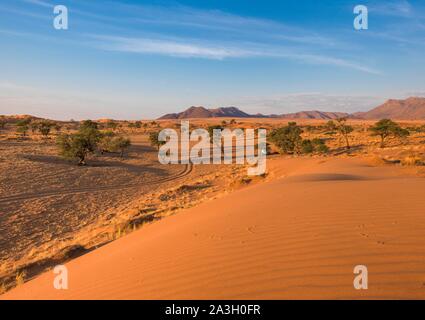 La Namibia, Hardap provincia, Namibrand riserva naturale, dune di sabbia rossa Foto Stock