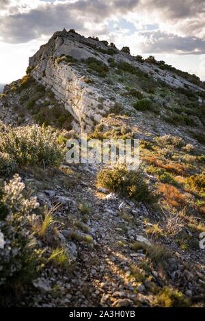 Francia, Bouche du Rhone, Aureille, montagne Alpilles, Opies valley Foto Stock