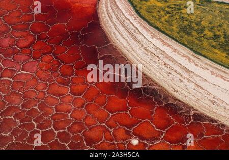 Tanzania, a nord della frontiera, il Lago Natron dal cielo (vista aerea) Foto Stock