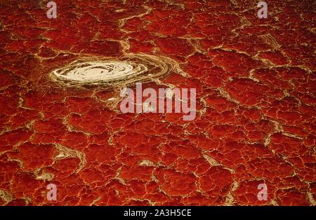 Tanzania, a nord della frontiera, il Lago Natron dal cielo (vista aerea) Foto Stock