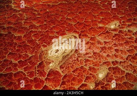 Tanzania, a nord della frontiera, il Lago Natron dal cielo (vista aerea) Foto Stock