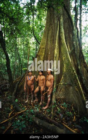 Ecuador, Orellana, Rio Cononaco, gruppo di cacciatori ai piedi di un casaro, Huaorani sono una delle ultime due tribù di cacciatori-raccoglitori che vivono nel cuore della foresta pluviale dell Ecuador Foto Stock