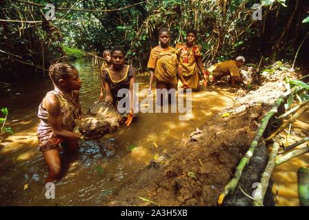 Congo, Est Lobeke, il metodo di pesca praticata da donne Baka, diga è la pesca Foto Stock