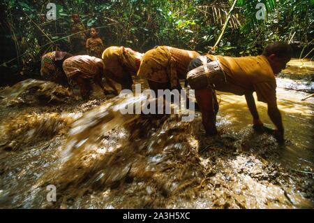 Congo, Est Lobeke, il metodo di pesca praticata da donne Baka, diga è la pesca Foto Stock