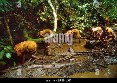 Congo, Est Lobeke, il metodo di pesca praticata da donne Baka, diga è la pesca Foto Stock