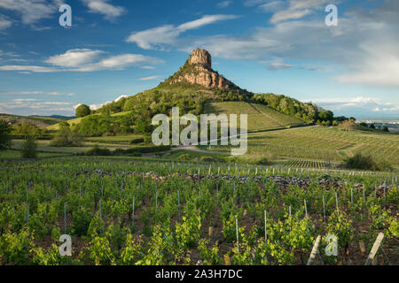 La Roche de Solutré, Solutré-Pouilly, Bourgogne, Francia Foto Stock