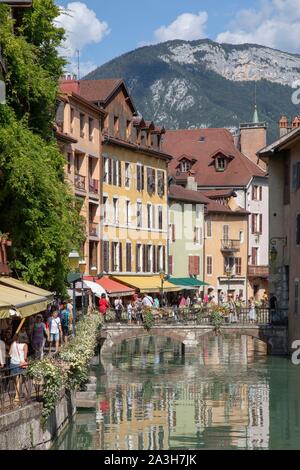 Francia, Haute Savoie, Annecy, città vecchia sul fiume Thiou banche, Isle Quays, bagliore del sole attraverso un glicine Foto Stock