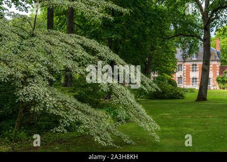 Francia, Loiret, Montbarrois, Parc du Manoir de la Javeliere (Javeliere Manor House Park), giardino e Manor House Foto Stock