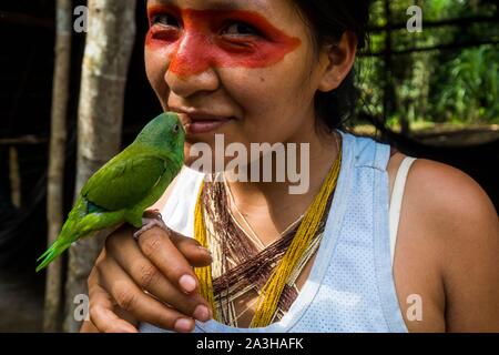 Ecuador, Tena, immersione esperienza di vita con la Waoranis del Rio Nushino, giovane donna con il suo verde parrocchetto o Amazona ochrocephala Foto Stock