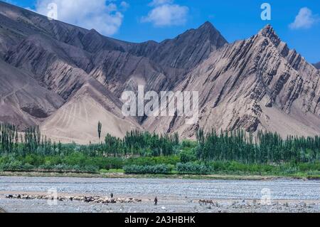 Cina, Xinjiang regione autonoma, Sanju, Urqi valley Foto Stock