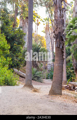 Sentiero Natura di Balboa Park. San Diego, California, Stati Uniti d'America. Foto Stock