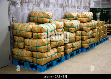 Green Tea Factory a Hamamatsu, Giappone Foto Stock