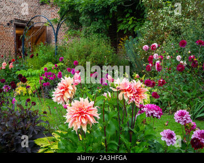 Chenies Manor Sunken giardino Dahlia visualizzare su una sera di settembre.un'erba sentiero conduce alla restaurata Pavilion. Una spia è accesa nella vecchia porta. Foto Stock