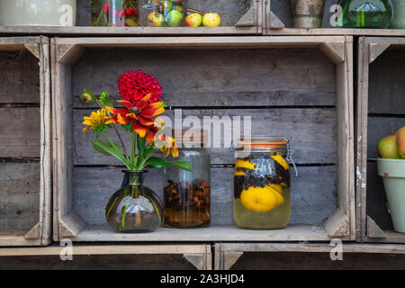 Vasetti di gin in vecchio stile infusi con limoni e bacche di ginepro con un vaso di fiori recisi in un'esposizione. REGNO UNITO Foto Stock