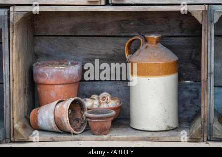 Vasetto in gres e pentole di piante in terracotta in un espositore di mensola in legno. REGNO UNITO Foto Stock